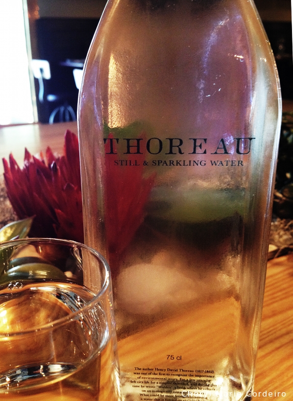 Thoreau water
